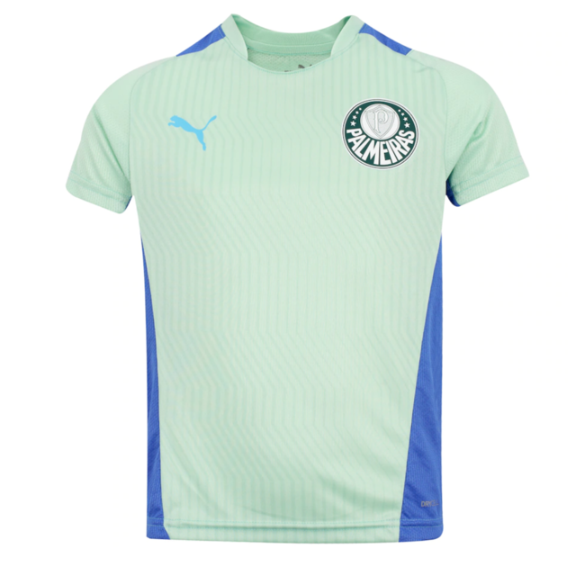 Camisa de Treino Palmeiras 22/23 Puma - Verde